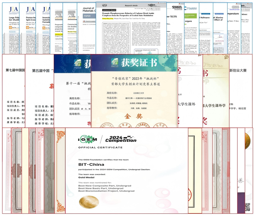 王琳 用1.png
